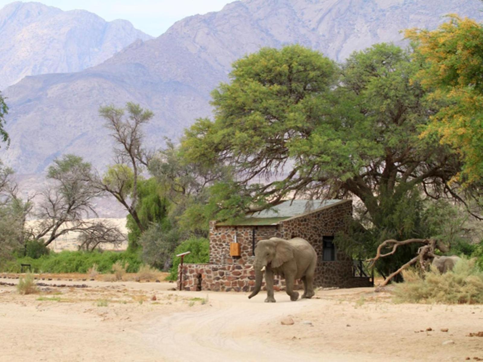 Brandberg White Lady Lodge Uis Buitenkant foto