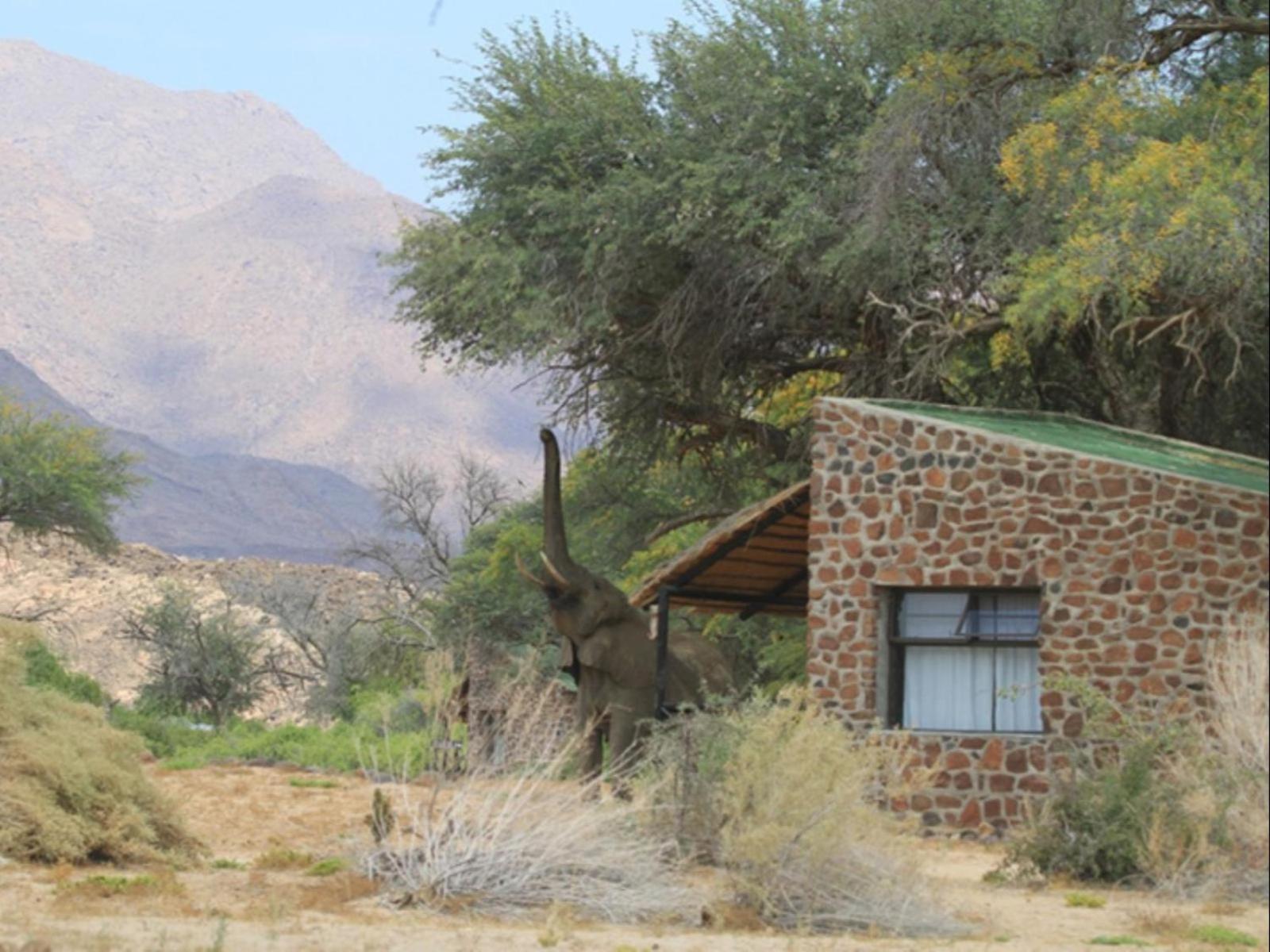 Brandberg White Lady Lodge Uis Buitenkant foto