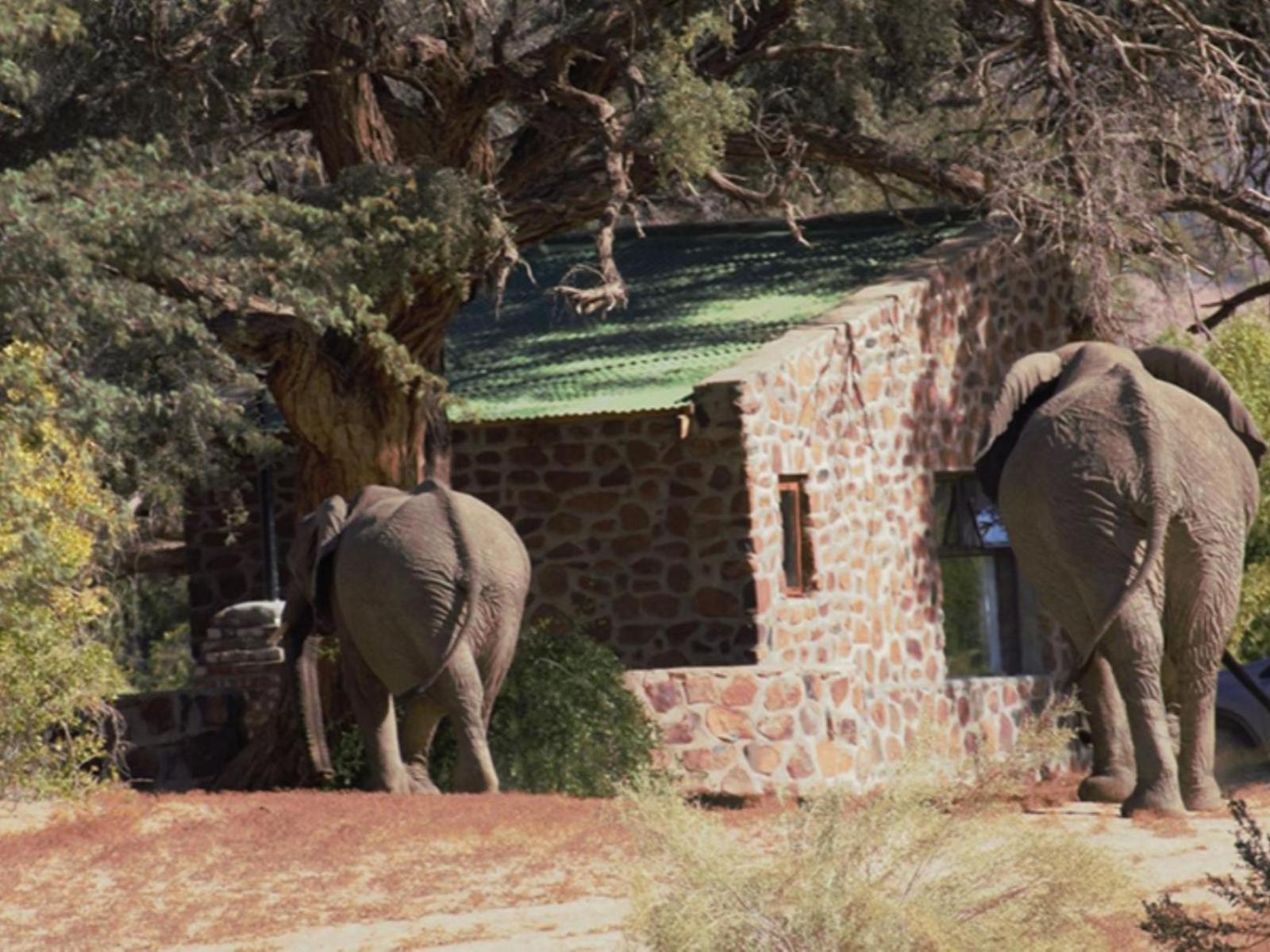 Brandberg White Lady Lodge Uis Buitenkant foto