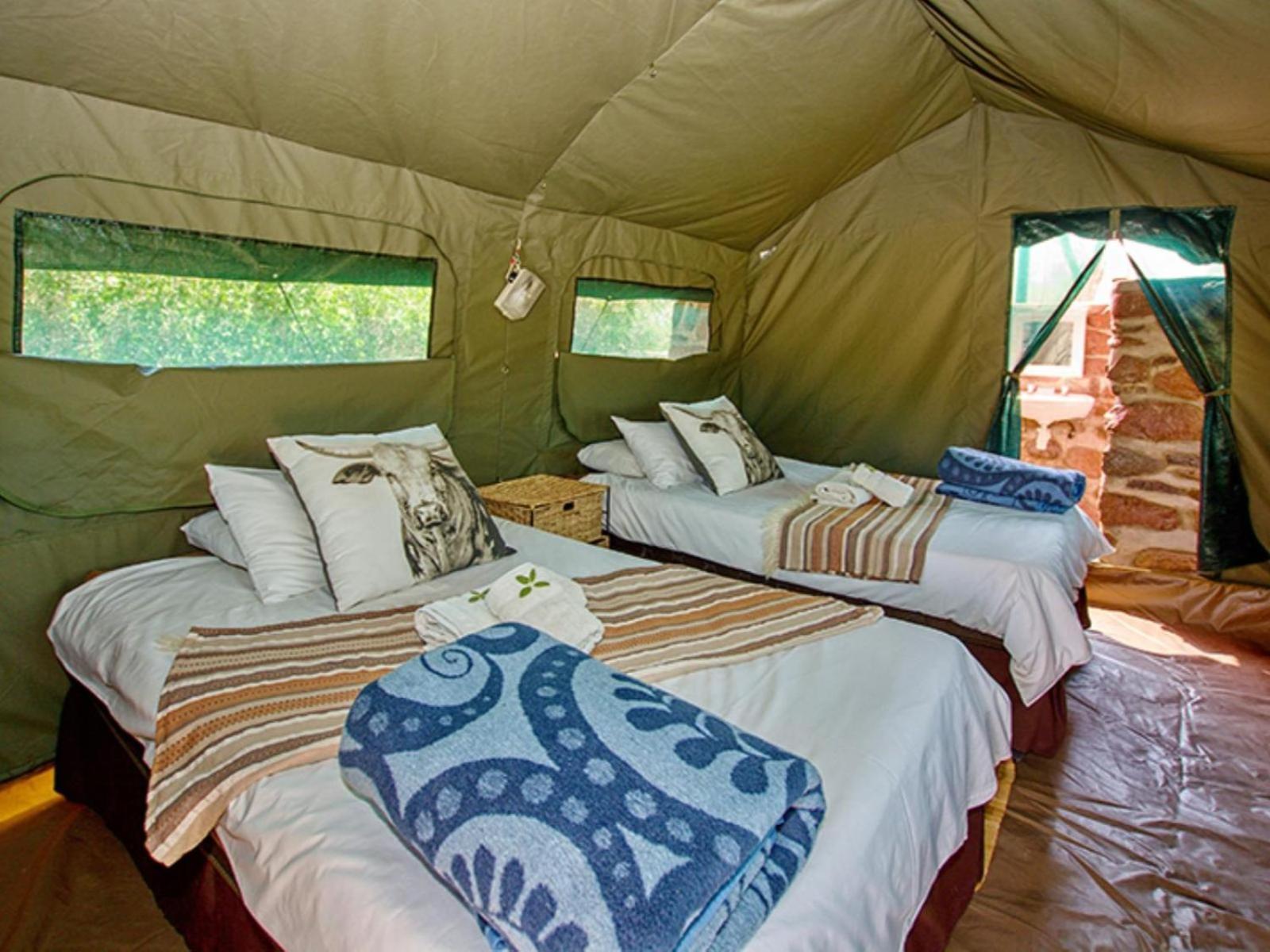 Brandberg White Lady Lodge Uis Buitenkant foto